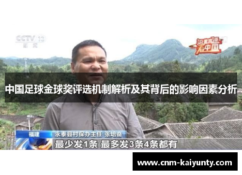 中国足球金球奖评选机制解析及其背后的影响因素分析
