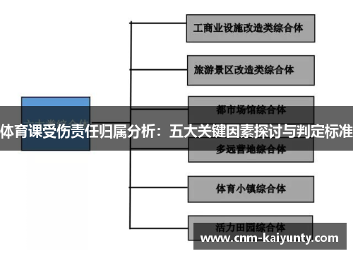 体育课受伤责任归属分析：五大关键因素探讨与判定标准