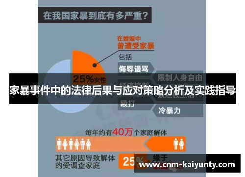 家暴事件中的法律后果与应对策略分析及实践指导