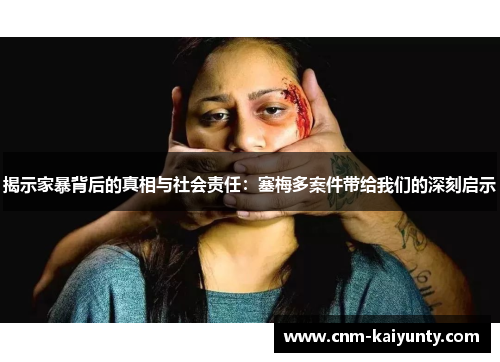 揭示家暴背后的真相与社会责任：塞梅多案件带给我们的深刻启示