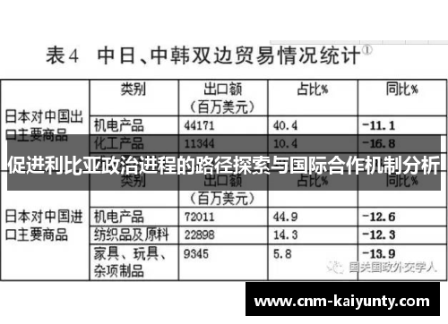 促进利比亚政治进程的路径探索与国际合作机制分析