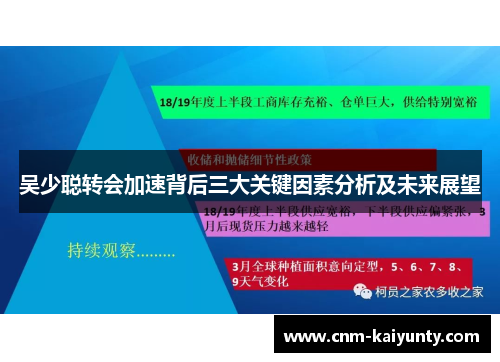 吴少聪转会加速背后三大关键因素分析及未来展望