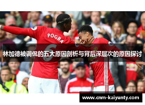 林加德被调侃的五大原因剖析与背后深层次的原因探讨 林加德被调侃的五大原因剖析与背后深层次的原因探讨